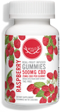 WYLD CBD - Real Fruit Infused - CBD Gummies - (50MG - 1000MG)