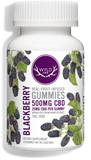 WYLD CBD - Real Fruit Infused - CBD Gummies - (50MG - 1000MG)