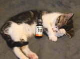 Bailey's CBD - CBD Oil - For Cats