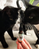 Bailey's CBD - CBD Oil - For Cats