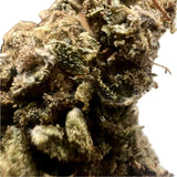 Ripkitty Premium - Sour Chem - Premium Delta 8 - Double-Dosed - CBD Hemp Flowers