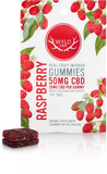 WYLD CBD - Real Fruit Infused - CBD Gummies - (50MG - 1000MG)