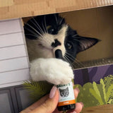 Bailey's CBD - CBD Oil - For Cats