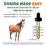 CBD Oil - For Horses