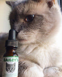 Bailey's CBD - CBD Oil - For Cats