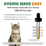 Bailey's CBD - CBD Oil - For Cats