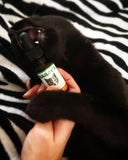 Bailey's CBD - CBD Oil - For Cats