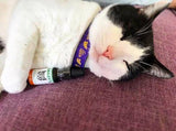 Bailey's CBD - CBD Oil - For Cats