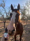 CBD Oil - For Horses